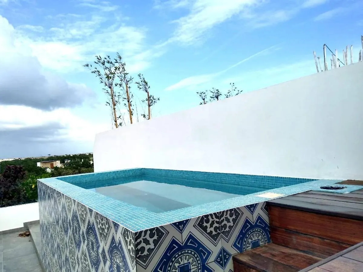 Private Roof W Plunge Pool Brand New 2 Bedroom Penthouse For 6 Sleeps Tulum Holiday home